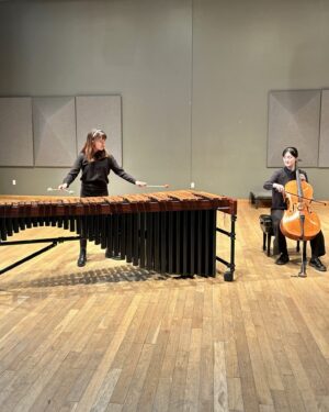 Ensemble of Tzu-yi Yeh and Hau Lam Yau Chamber Music